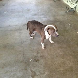 Meet your Posher, Erick